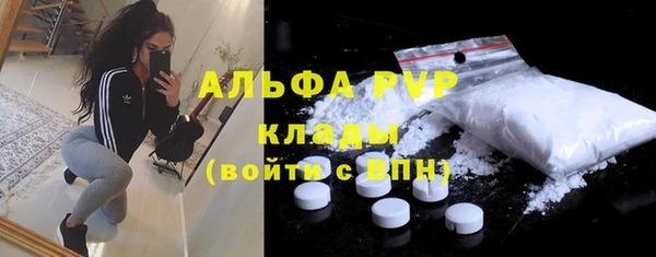прущие грибы Абинск