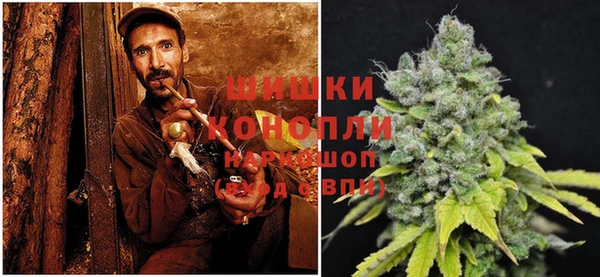 прущие грибы Абинск