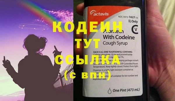 прущие грибы Абинск