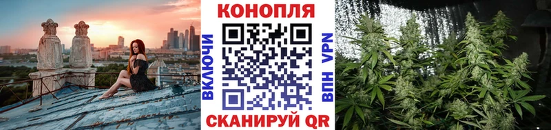 купить закладку  Белоозёрский  Конопля ГИДРОПОН 